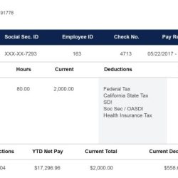 Read and interpret pay stubs answer key