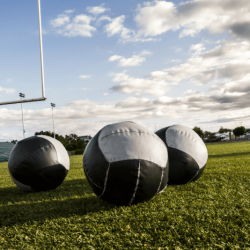 A ball is shot from the ground into the air