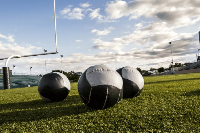 A ball is shot from the ground into the air