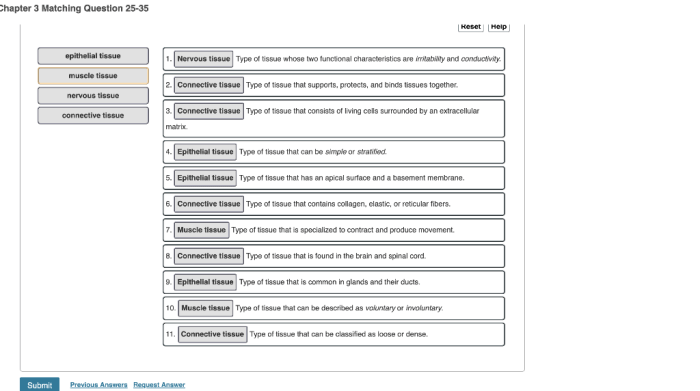 Tissues chapter 5 answer key