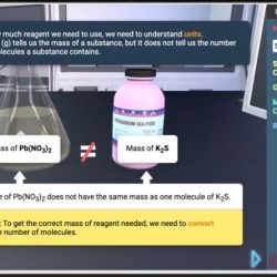 Nitrogen cycle stem case gizmo answers