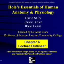 Hole's essentials of human anatomy & physiology pdf