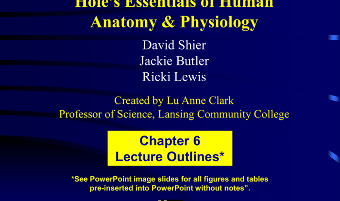 Hole's essentials of human anatomy & physiology pdf