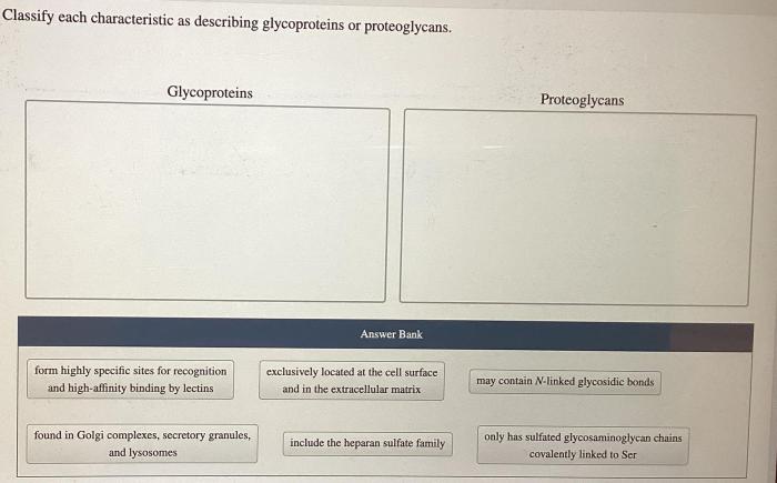 Classify characteristic describing marsupials monotremes mammals homeworklib