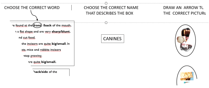 Herbivores omnivores carnivores oh my data set 3 answers