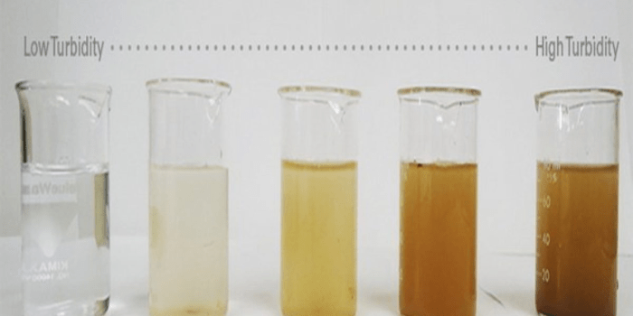 Which statements describe turbidity check all that apply