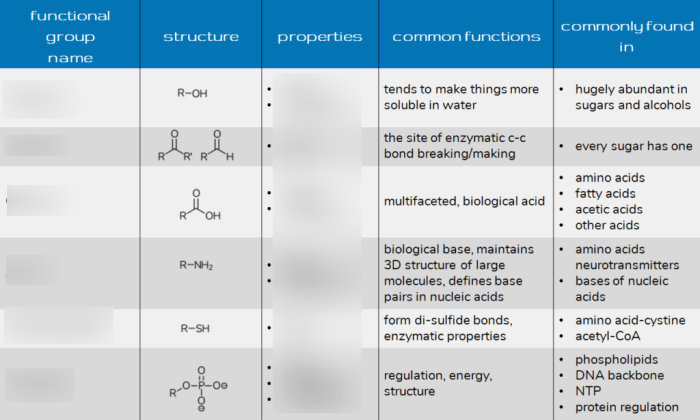 Macromolecules biomolecules major teacherspayteachers