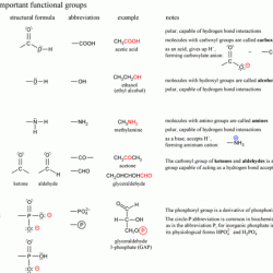 Biochemistry functional groups the scariest worksheet ever