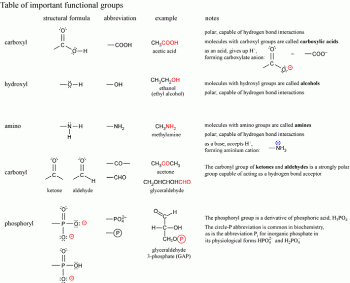 Biochemistry functional groups the scariest worksheet ever