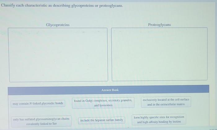 Classify each characteristic as describing glycoproteins and proteoglycans.