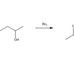 Bases acids