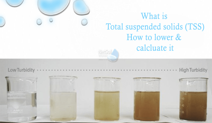 Which statements describe turbidity check all that apply